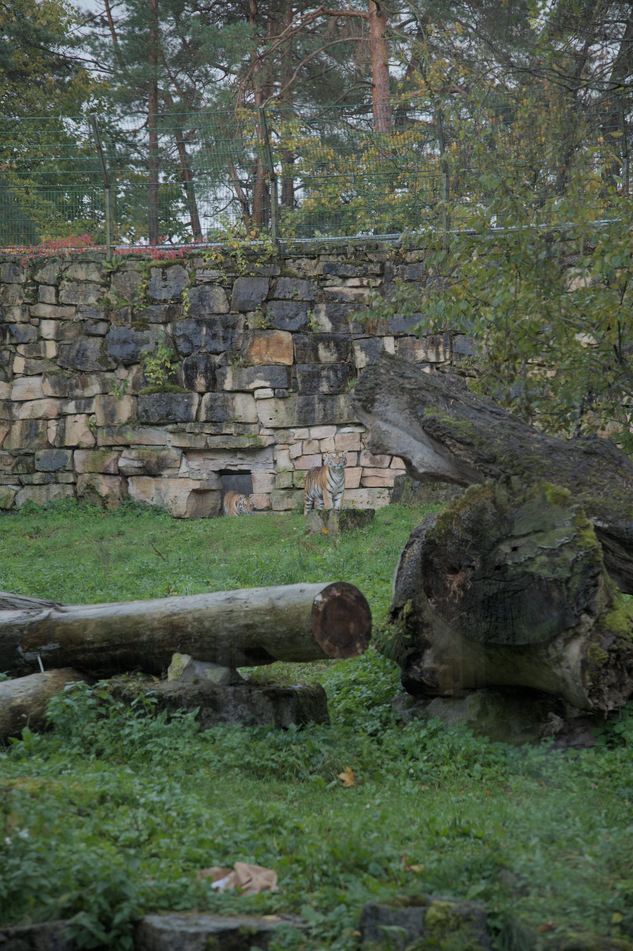 2025/10/12 - zoo/DSC_0110.jpg